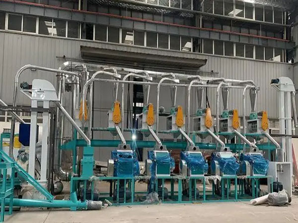 <a href=http://http://m.jnkuohang.cn/product/6/ target=_blank class=infotextkey>玉米加工機械</a>