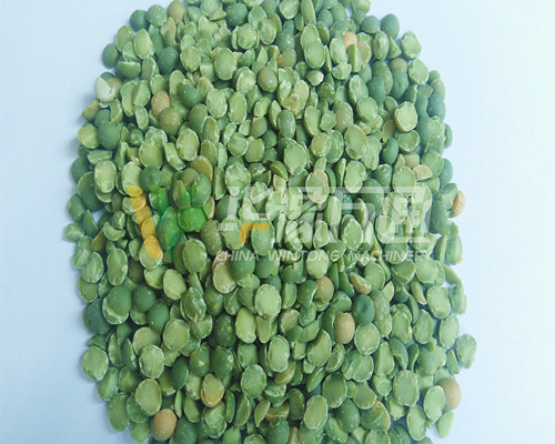 <a href=http://m.jnkuohang.cn/product/8/ target=_blank class=infotextkey>豌豆脫皮機</a>