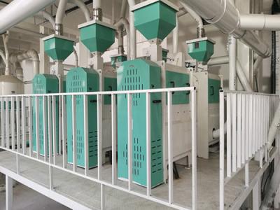 遼寧黑山50噸豆類脫皮制粉成套項目